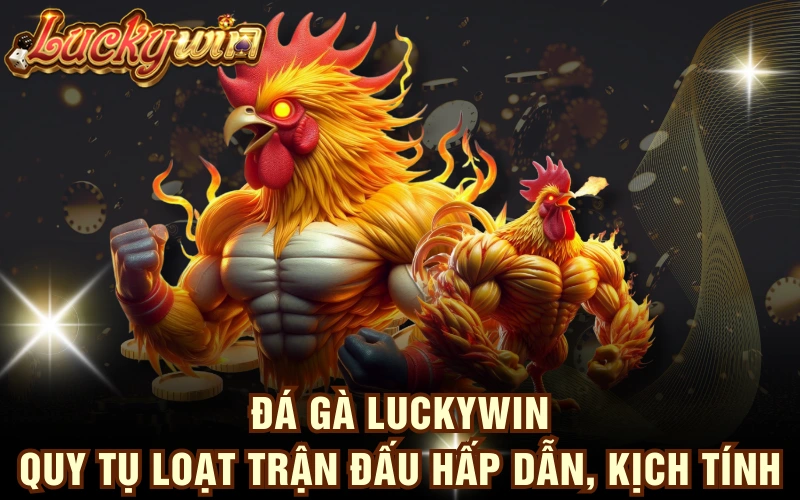 Đá Gà LUCKYWIN - Quy Tụ Loạt Trận Đấu Hấp Dẫn, Kịch Tính