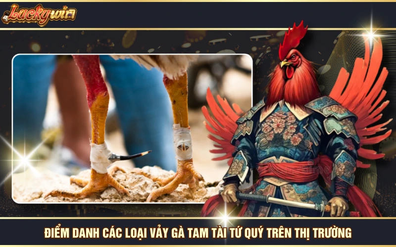 Vảy Gà Tam Tài Tứ Quý - Dấu Hiệu Nhận Diện Thần Kê TOP 1! 7 Điểm danh các loại vảy gà tam tài tứ quý trên thị trường