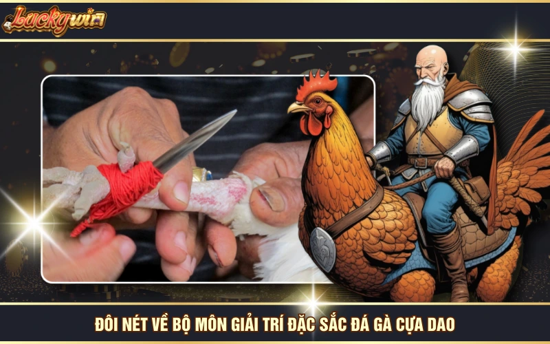 Theo Dõi Đá Gà Cựa Dao Trực Tuyến Kịch Tính Tại LUCKYWIN 5 Đôi nét về bộ môn giải trí đặc sắc đá gà cựa dao