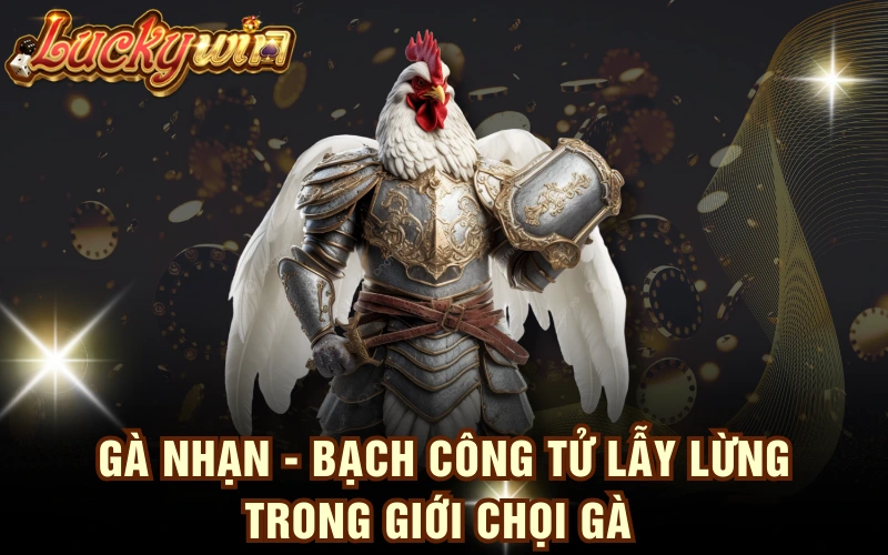 Gà Nhạn - “Bạch Công Tử” Lẫy Lừng Trong Giới Chọi Gà 4 Gà Nhạn - “Bạch Công Tử” Lẫy Lừng Trong Giới Chọi Gà