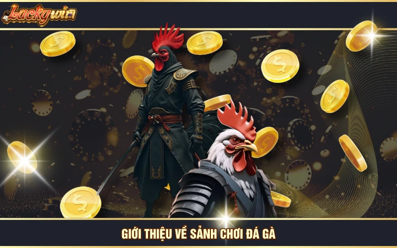 Giới thiệu về sảnh chơi đá gà
