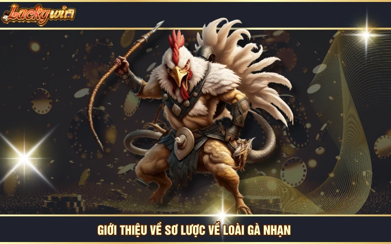 Gà Nhạn - “Bạch Công Tử” Lẫy Lừng Trong Giới Chọi Gà 5 Giới thiệu về sơ lược về loài gà nhạn