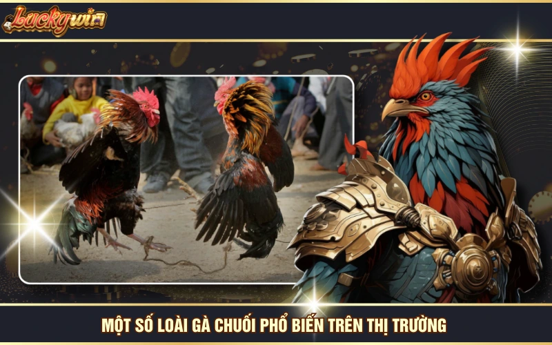 Gà Chuối - Giống Đẹp Mã, Đá Hay Được Sư Kê Ưa Chuộng 6 Một số loài gà chuối phổ biến trên thị trường