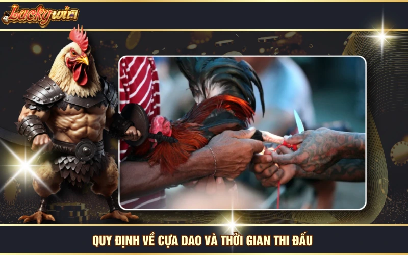 Theo Dõi Đá Gà Cựa Dao Trực Tuyến Kịch Tính Tại LUCKYWIN 6 Quy định về cựa dao và thời gian thi đấu