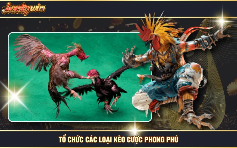 Đá Gà Alo789 - Thưởng Thức Các Màn Thi Đấu Đầy Ấn Tượng 6 Tổ chức các loại kèo cược phong phú