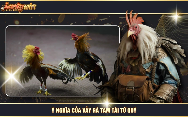 Vảy Gà Tam Tài Tứ Quý - Dấu Hiệu Nhận Diện Thần Kê TOP 1! 6 Ý nghĩa của vảy gà tam tài tứ quý